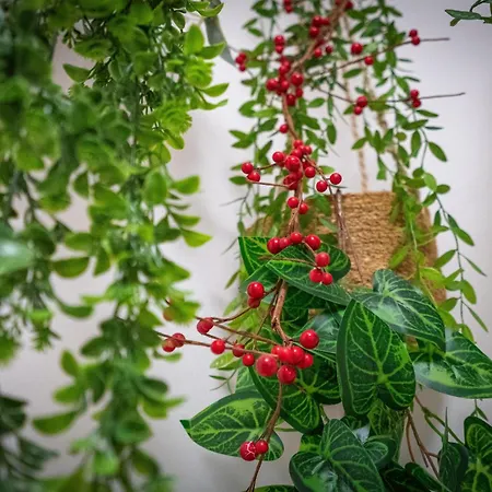 Sea Breeze Портиман